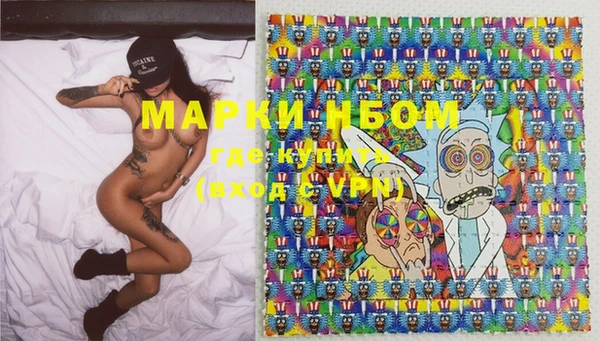 твердый Алзамай
