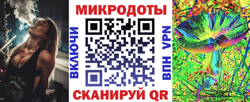 Псилоцибиновые грибы Psilocybe Алушта